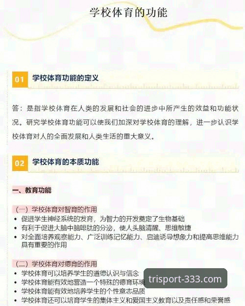 体育怎么下载官方下载 333体育平台下载方式全面解析:官方入口与安装细节深度分析